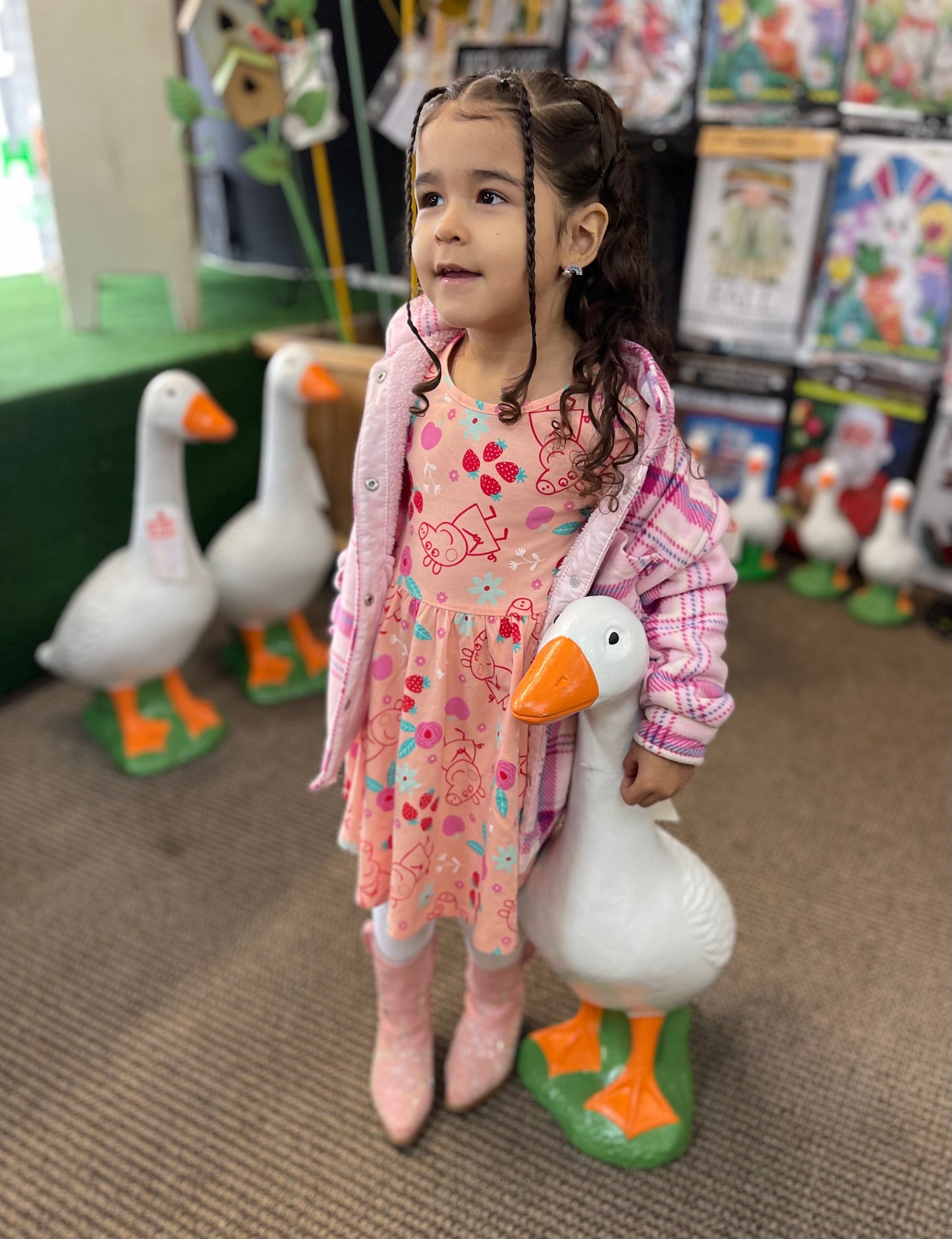 29” Cement Porch Goose Fundraiser Tickets